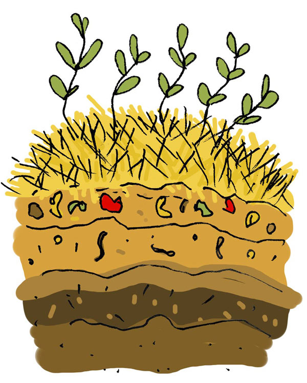 agroecologie-arbres-fruitiers-rustique-pommiers-poiriers-agrumes-pepain-pepiniere-01 agroecologie-arbres-fruitiers-rustique-pommiers-poiriers-agrumes-pepain-pepiniere-01