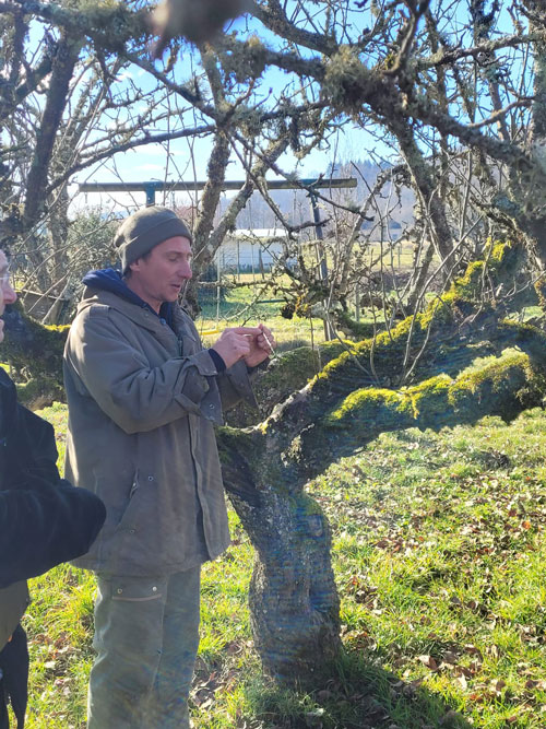 formation-taille-arbre-fruitiers-biodiversite-fonctionnelle-verger-pepain-01 formation-taille-arbre-fruitiers-biodiversite-fonctionnelle-verger-pepain-01