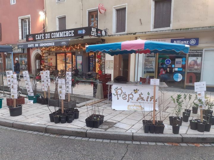 pep-ain-pepiniere-arbre-fruitiers-foire-marche pep-ain-pepiniere-arbre-fruitiers-foire-marche